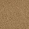 Allure Plush Carpet