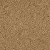 Allure Fascinate Carpet