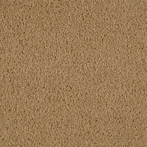 Allure Plush Carpet