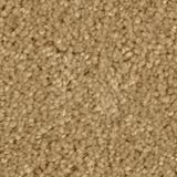 Allure Color Enchanting