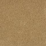 Allure Enchanting Carpet