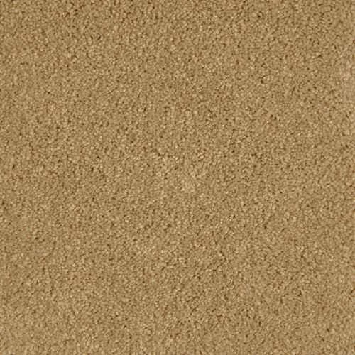Allure Plush Carpet