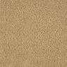 Allure Plush Carpet