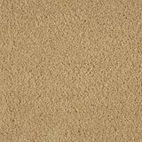 Allure Captivate Carpet
