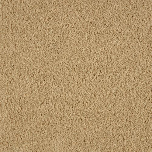 Allure Plush Carpet