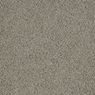 Allure Plush Carpet