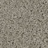 Allure Color Attraction