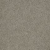 Allure Attraction Carpet