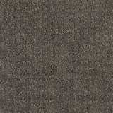 Exceptional Divergent Carpet
