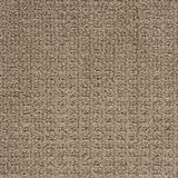 Exceptional Outstanding Carpet