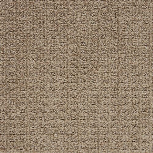 Exceptional Pattern Carpet