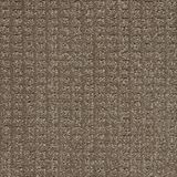 Exceptional Phenomenal Carpet