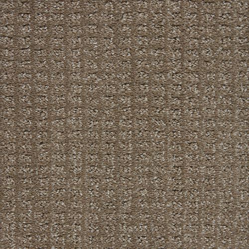 Exceptional Pattern Carpet