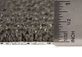 Exceptional Divergent Carpet