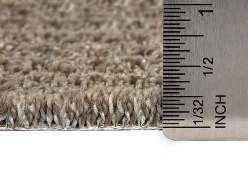 Exceptional Pattern Carpet