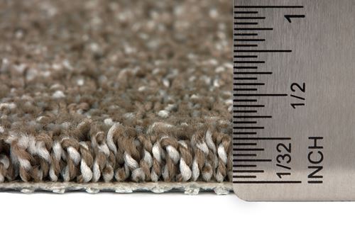 Exceptional Pattern Carpet