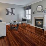 Bradstreet Acacia Cumin Vinyl