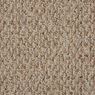 Trenton Berber Carpet