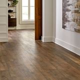 Latitude Range Laminate