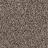 Admirable Ace Carpet