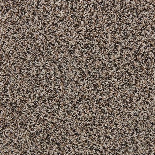 Admirable Plush Carpet