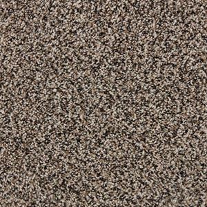 Admirable Ace Brown Plush Carpet Product Swatch Image