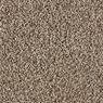 Admirable Plush Carpet