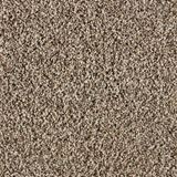 Admirable Classy Carpet