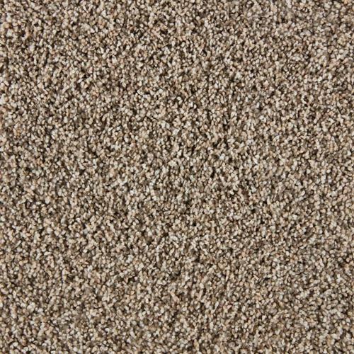 Admirable Plush Carpet