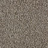 Admirable Impeccable Carpet