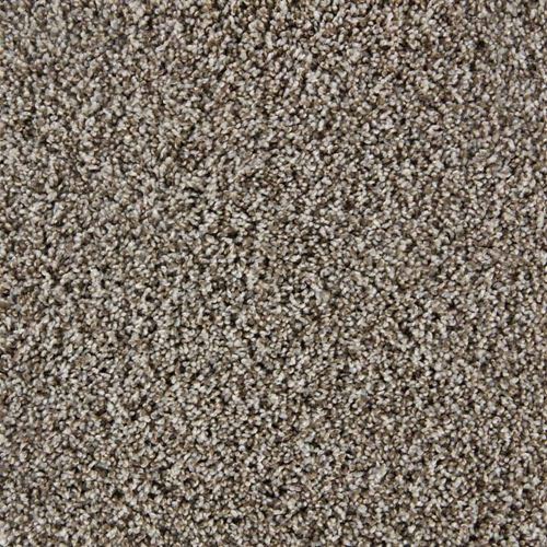 Admirable Plush Carpet