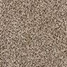 Admirable Plush Carpet