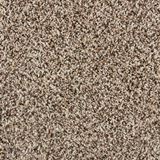 Admirable Refined Carpet