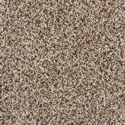 Admirable Plush Carpet