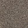 Admirable Plush Carpet