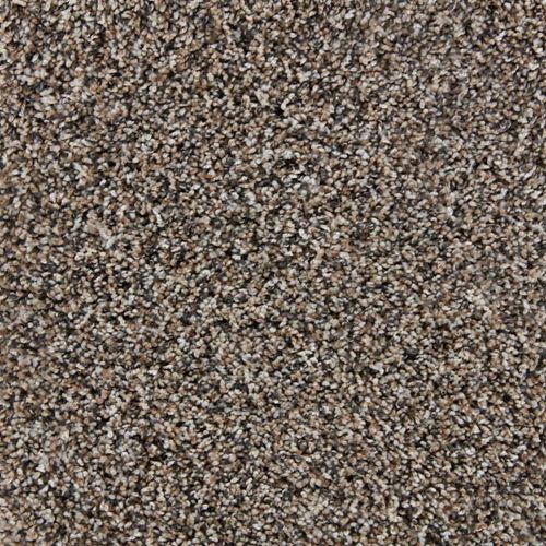 Admirable Plush Carpet