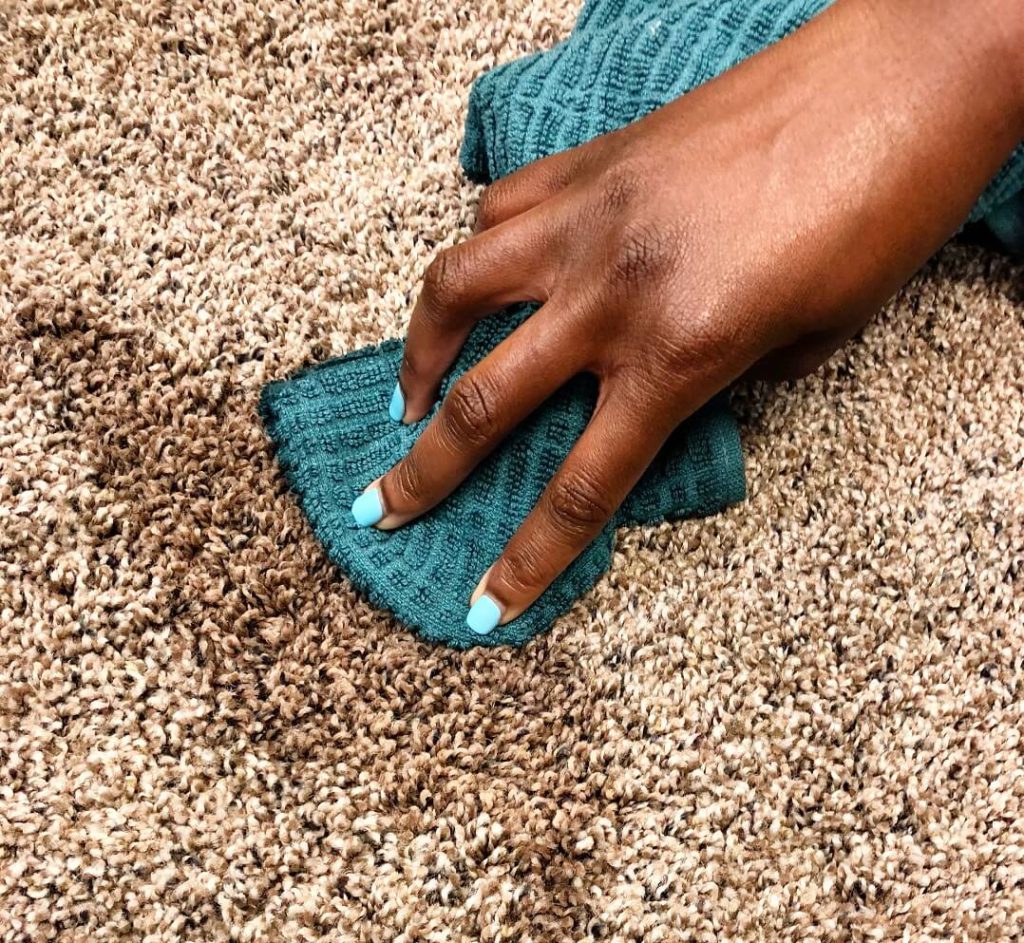 spill on carpet being cleaned up