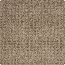 Exceptional Outstanding Beige Pattern Carpet product swatch