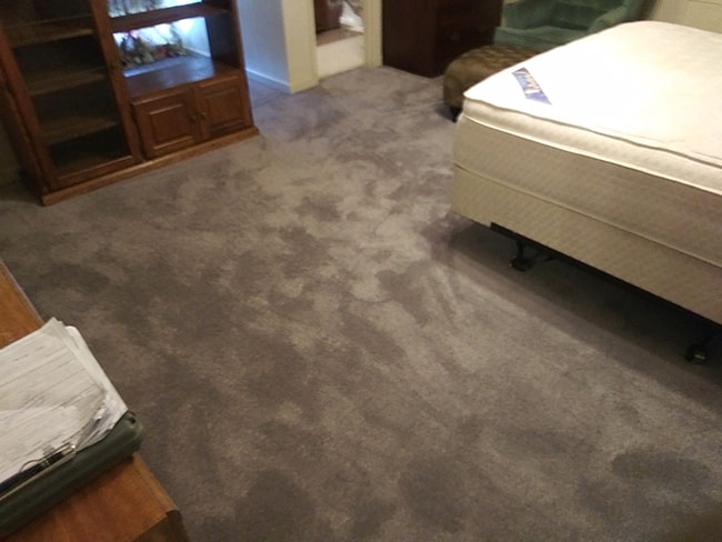 plush carpet in the bedroom 