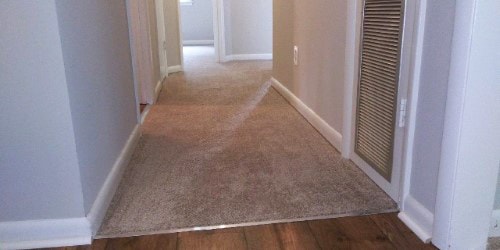 plush carpet in the hallway 