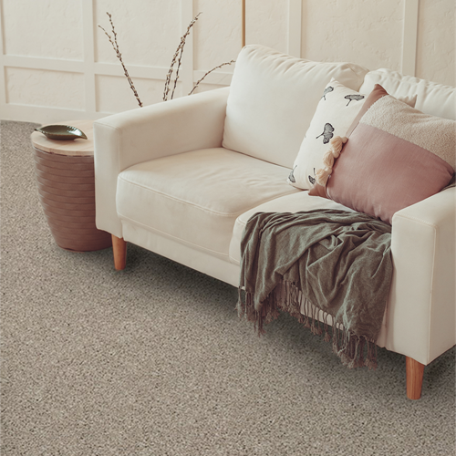 Grand Reserve Plush Carpet