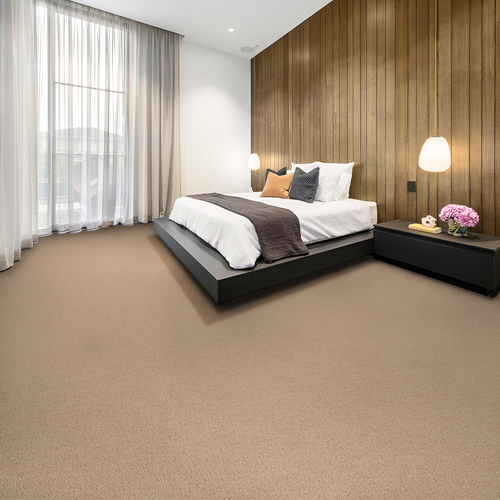Elliston Plush Carpet