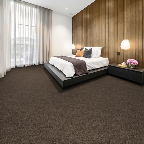 Elliston Plush Carpet