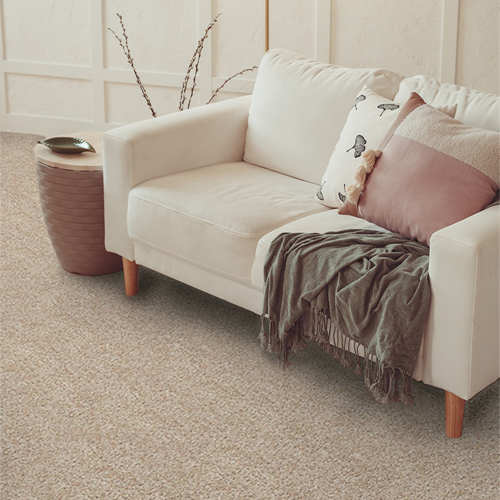 Grand Reserve Plush Carpet