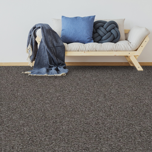 Alderbrook Plush Carpet