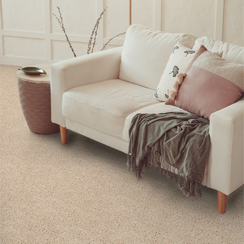 Grand Reserve Plush Carpet